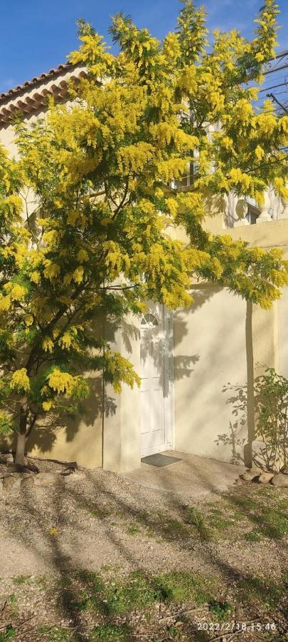 Joli Gîte d'entressen dans Mas en campagne avec piscine jeux d'extérieurs pour enfants terrain de pétanque Exterior foto